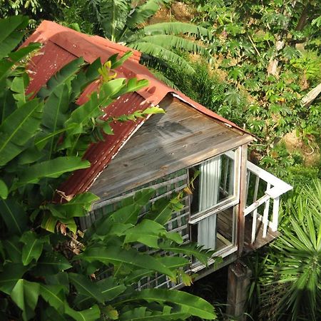 Mount Edge Guest House Port Antonio Zewnętrze zdjęcie