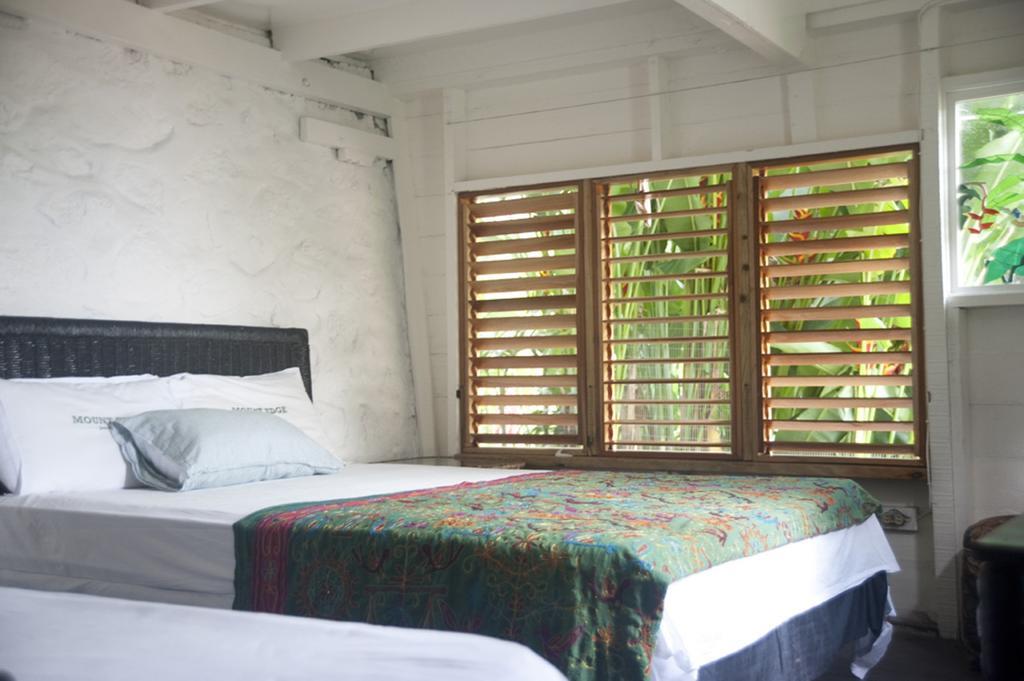 Mount Edge Guest House Port Antonio Zewnętrze zdjęcie
