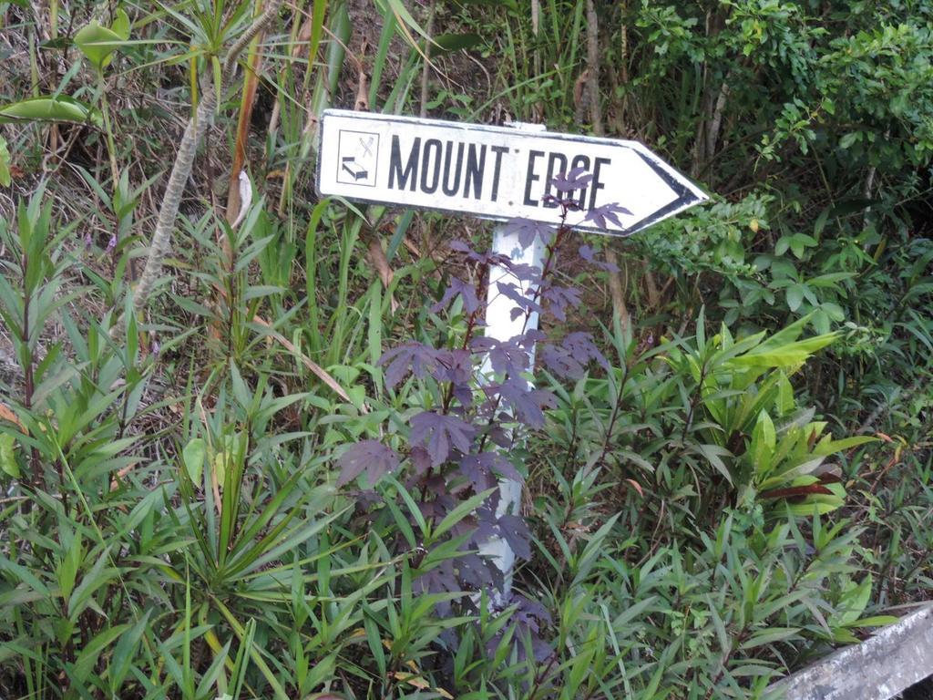 Mount Edge Guest House Port Antonio Zewnętrze zdjęcie