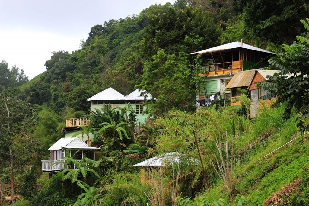 Mount Edge Guest House Port Antonio Zewnętrze zdjęcie