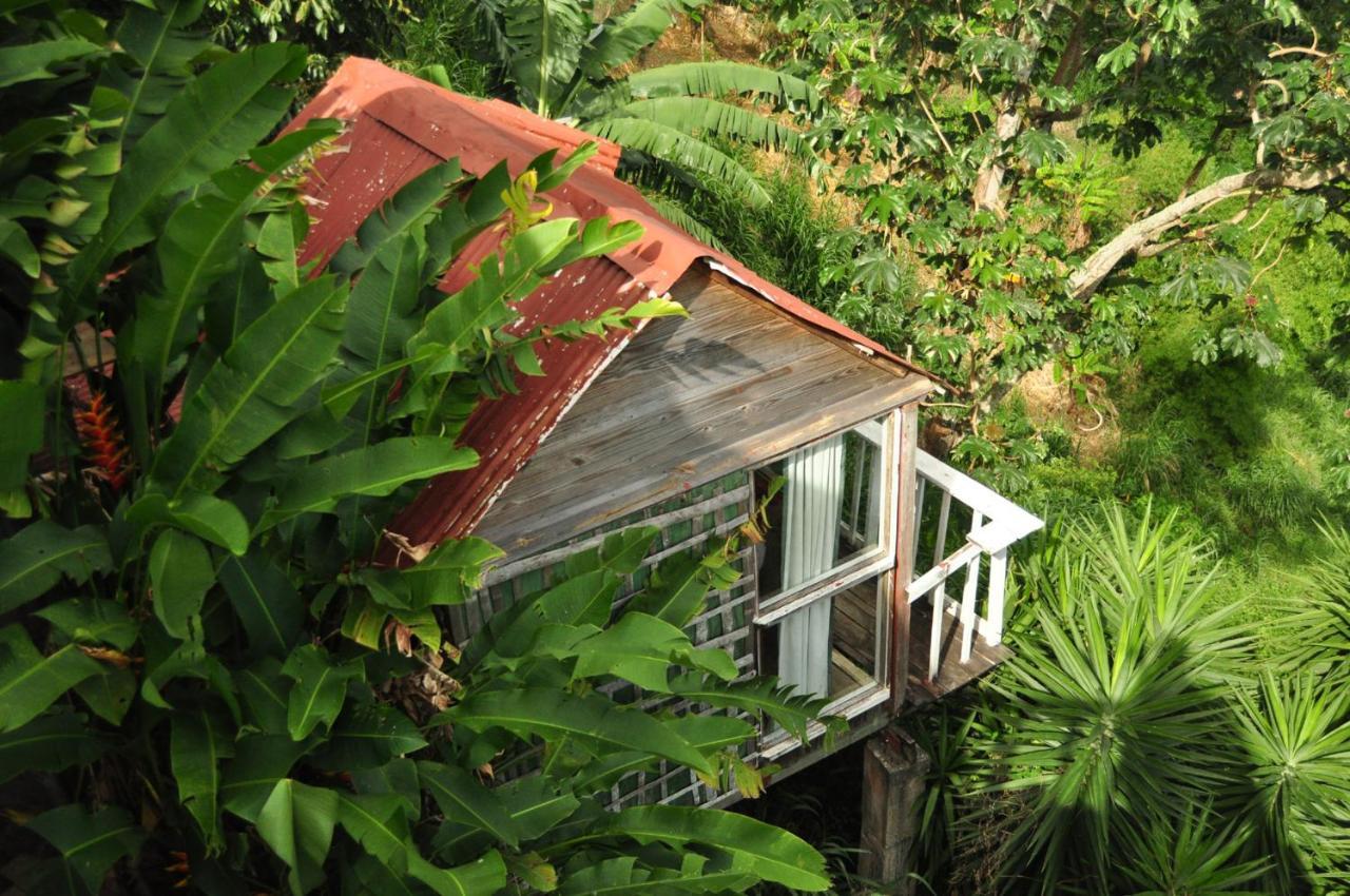 Mount Edge Guest House Port Antonio Zewnętrze zdjęcie