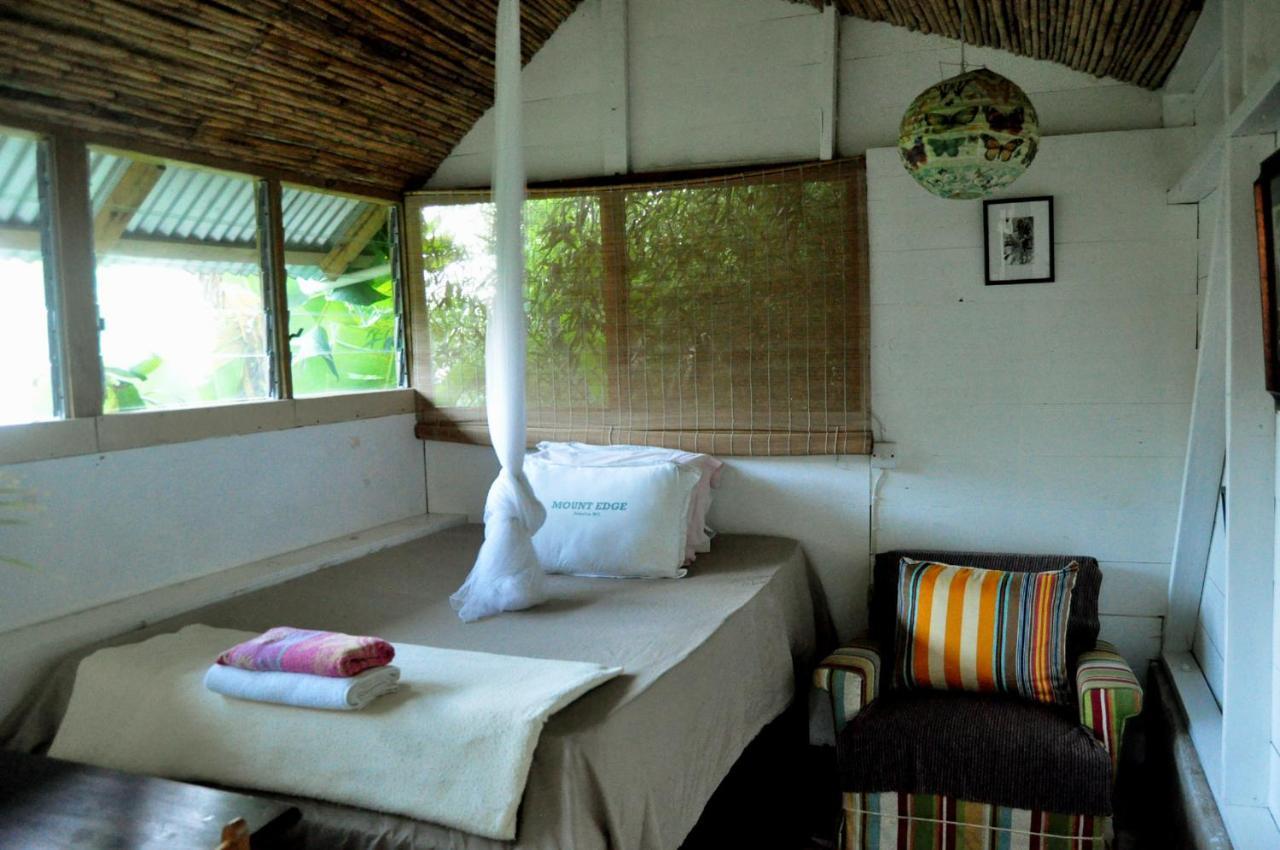 Mount Edge Guest House Port Antonio Zewnętrze zdjęcie