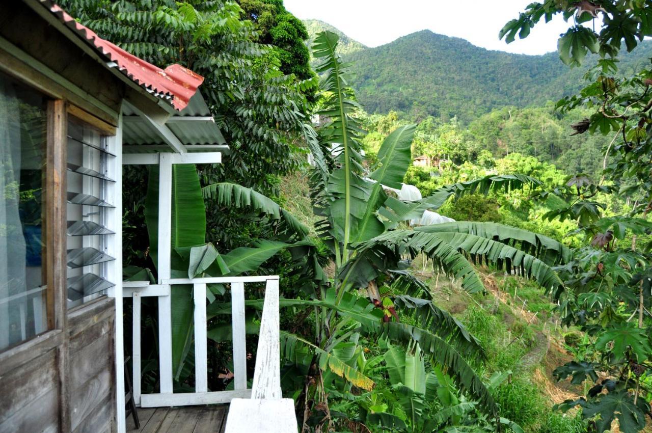 Mount Edge Guest House Port Antonio Zewnętrze zdjęcie