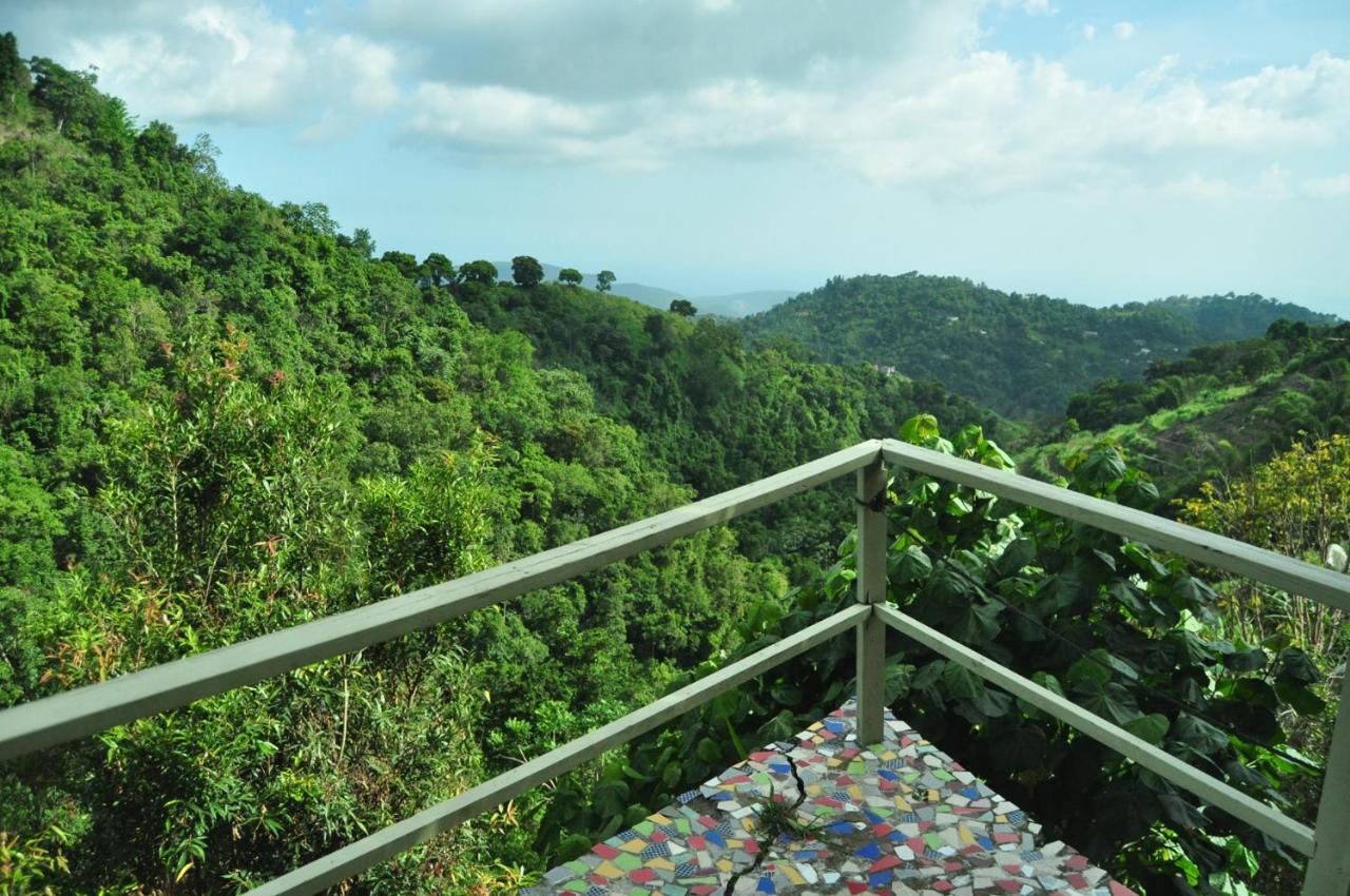 Mount Edge Guest House Port Antonio Zewnętrze zdjęcie
