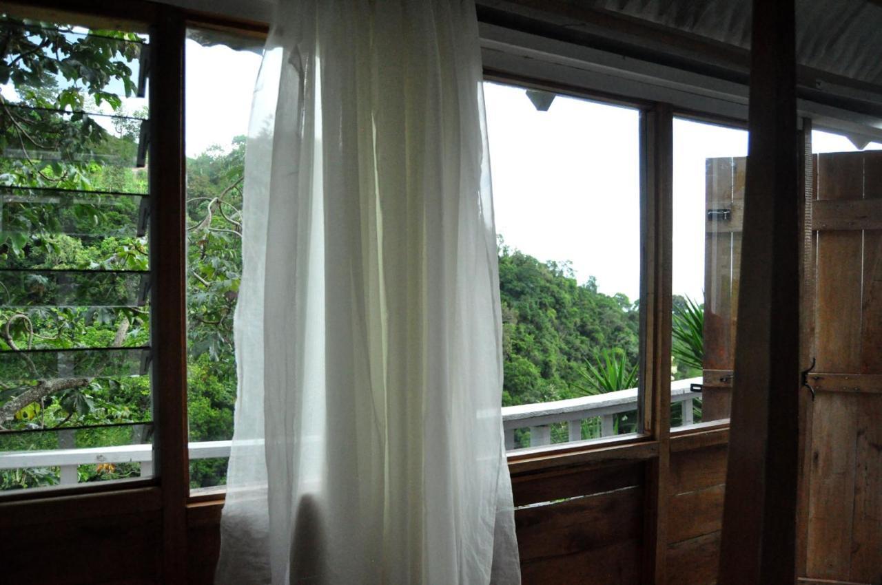 Mount Edge Guest House Port Antonio Zewnętrze zdjęcie